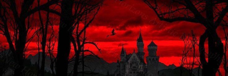 xdswannn's profile banner image