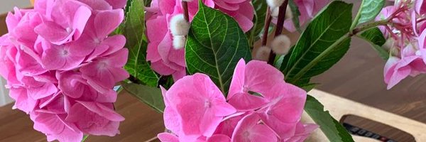 ImSaraMichelle Profile Banner