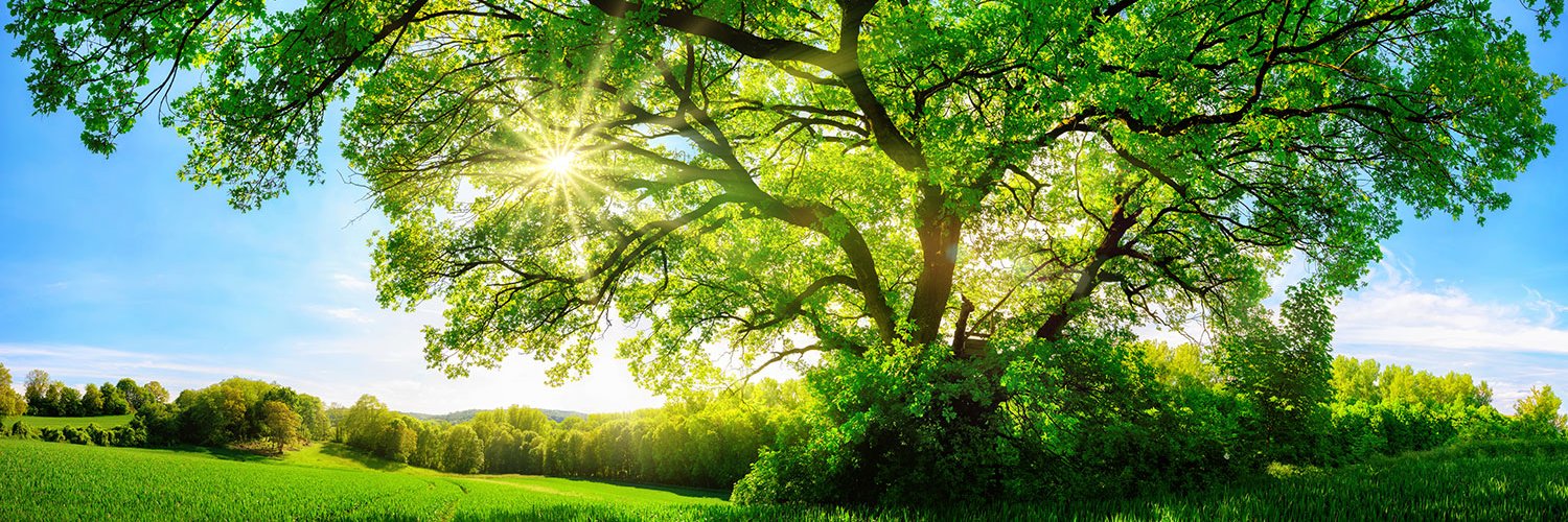 NC GreenPower banner