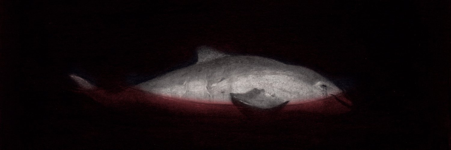 Randy Ortiz banner