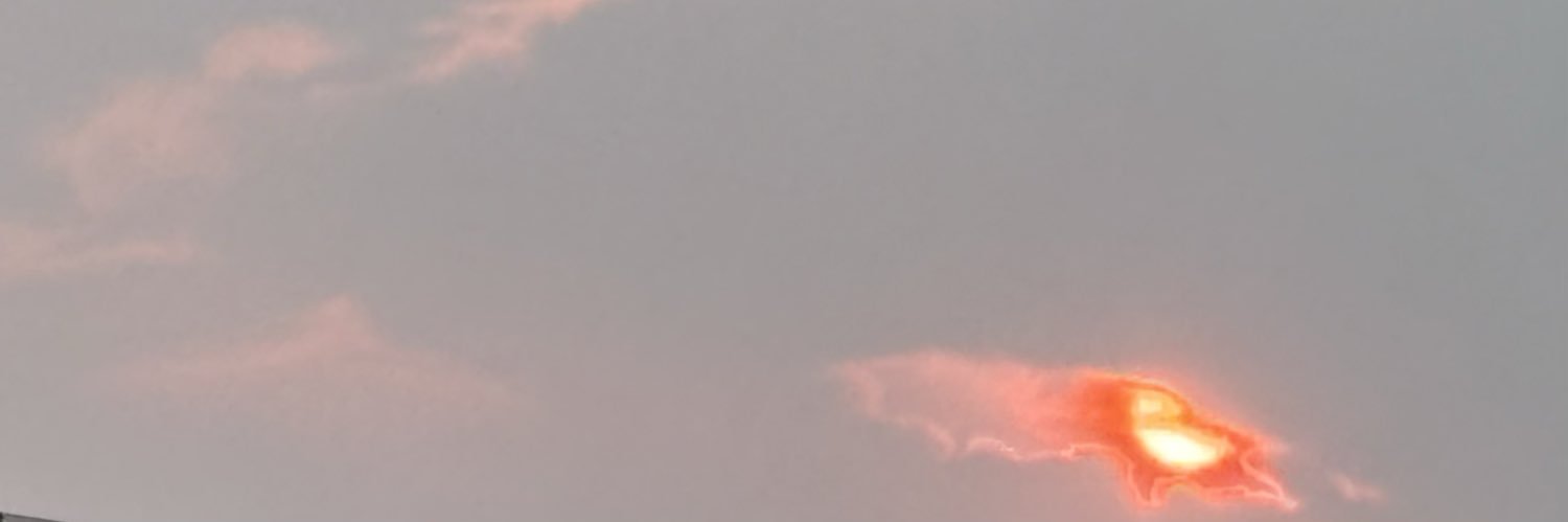 Pat banner