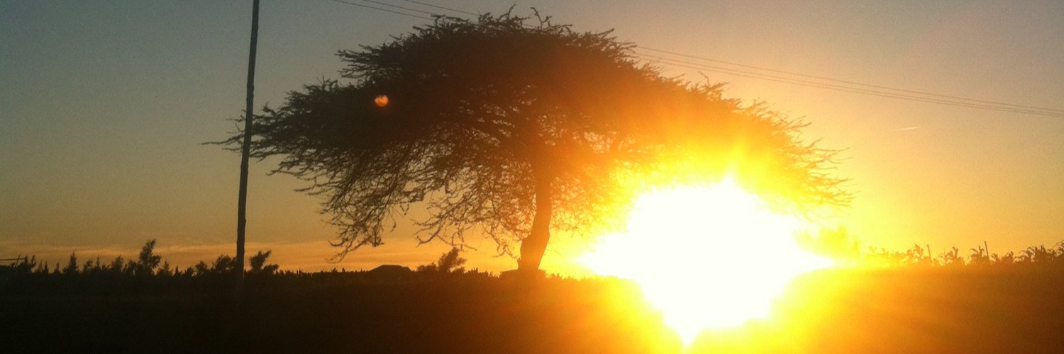 ViKathini's profile banner image