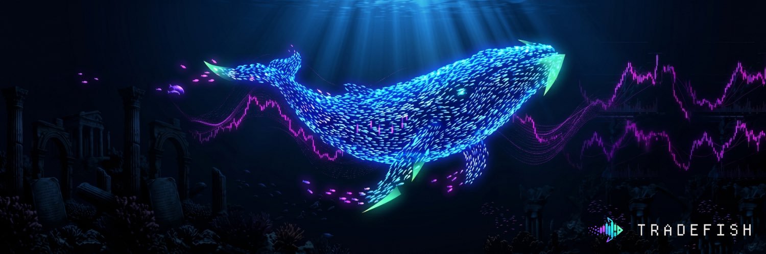 TradeFish banner