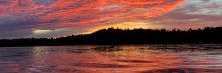 Emily 🇨🇦 banner