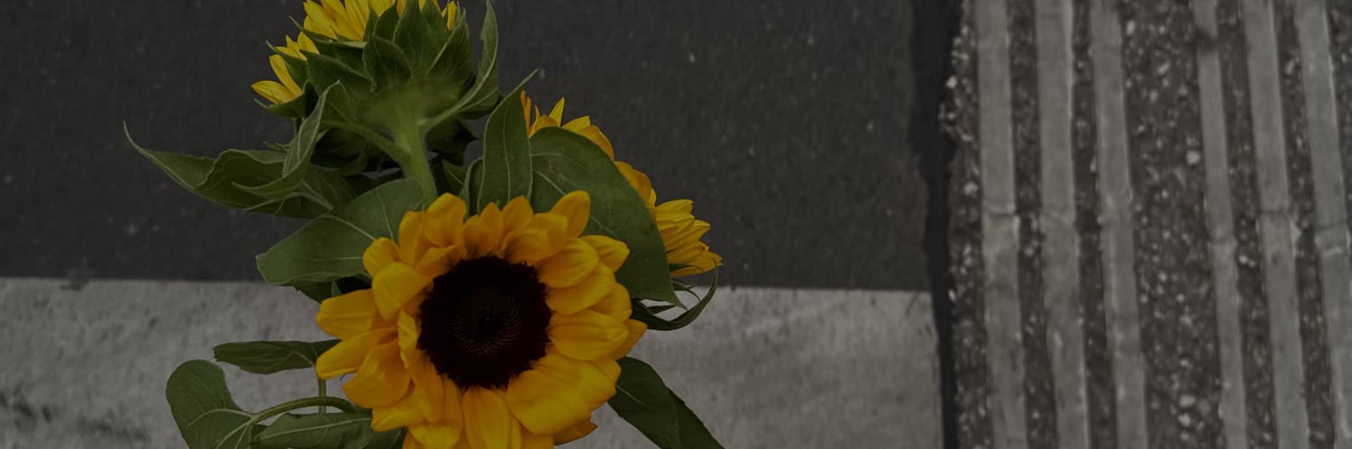 rennytrash's profile banner image