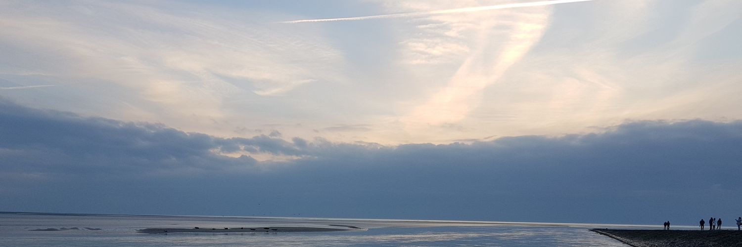 stducamp's profile banner image