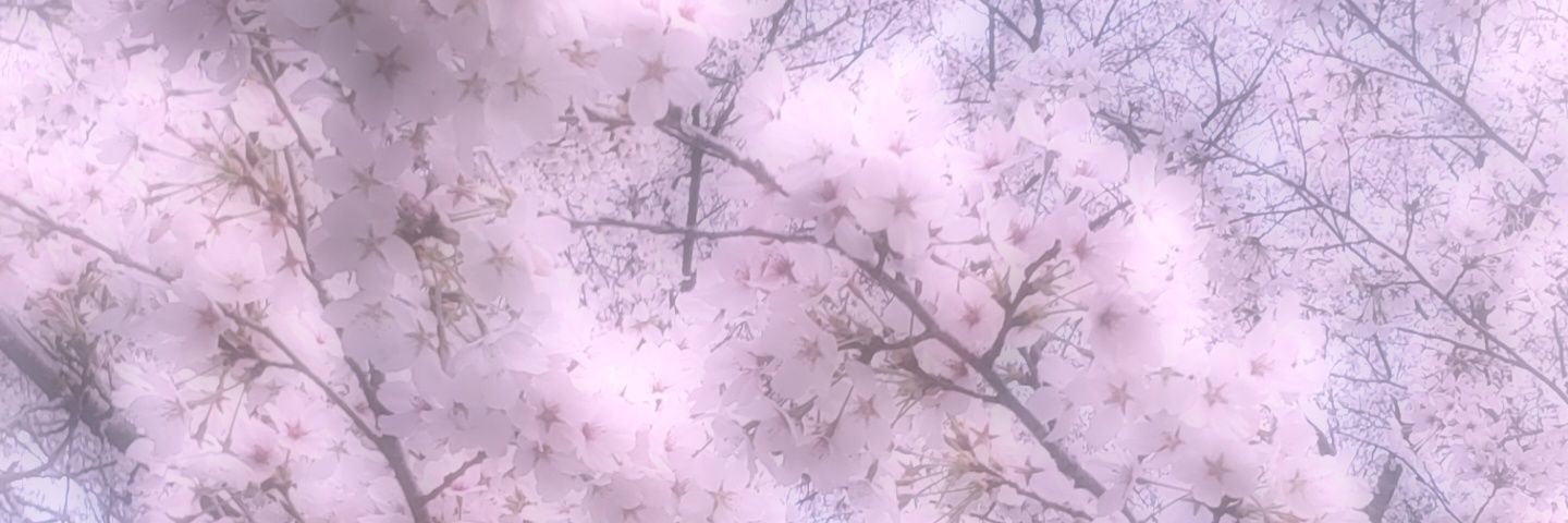 Saku__Konf's profile banner image