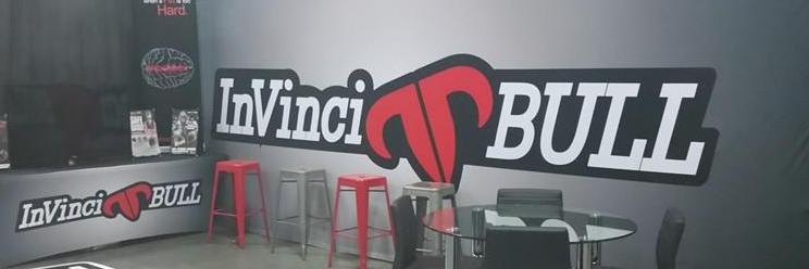 InVinci_BULL's profile banner image