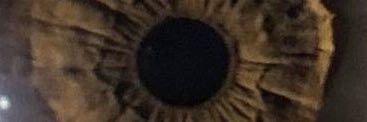★ banner