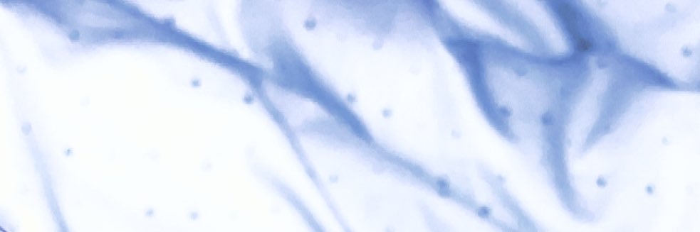 Kody banner
