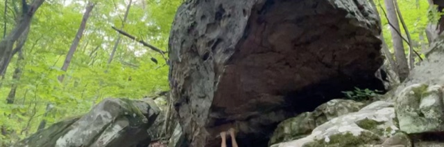 Brooks Egerton, Sewanee Spoken Word organizer banner