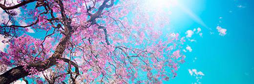 mistent's profile banner image