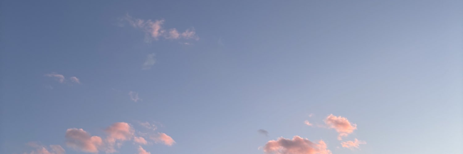 ねぎととろ🍣 banner
