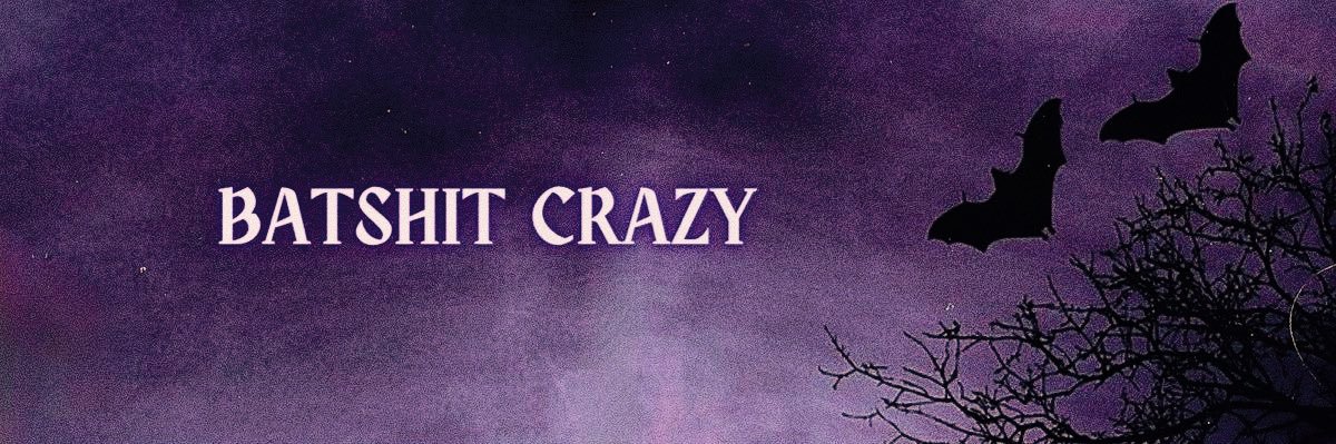 𝓛. banner
