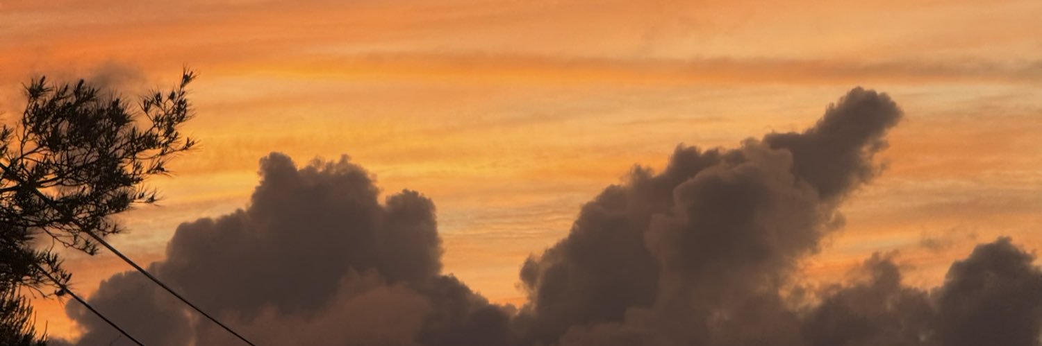 Beatriz Prazeres banner
