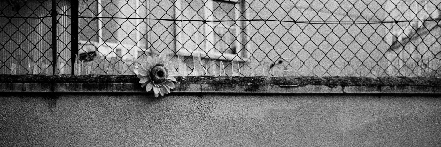andreiio's profile banner image