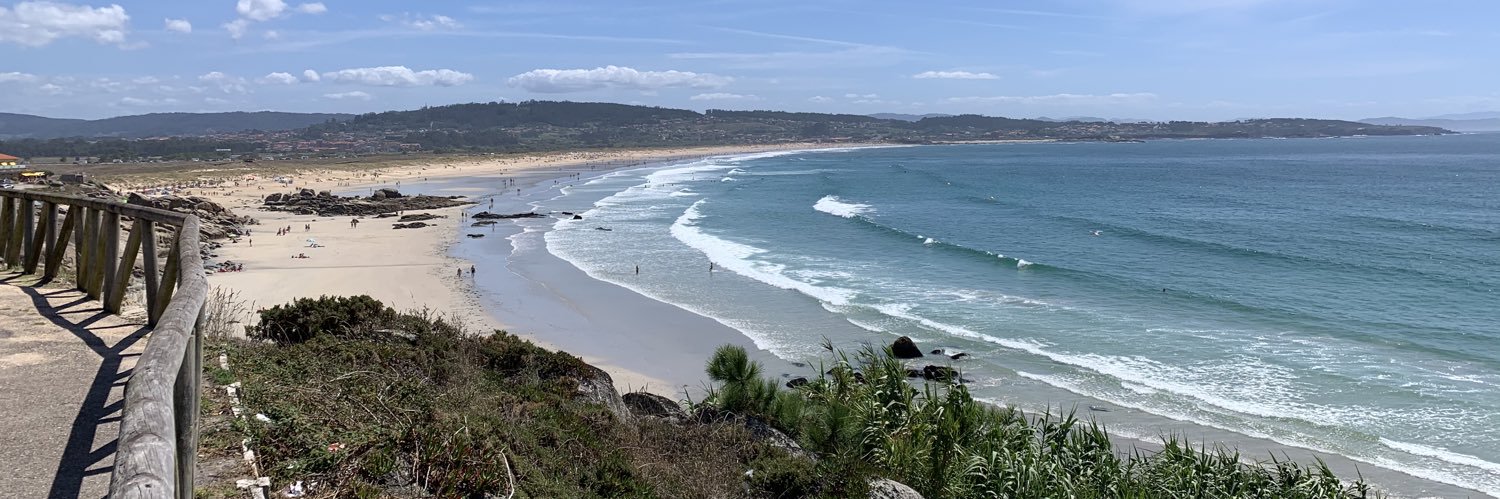 Mario Vega Tamayo banner