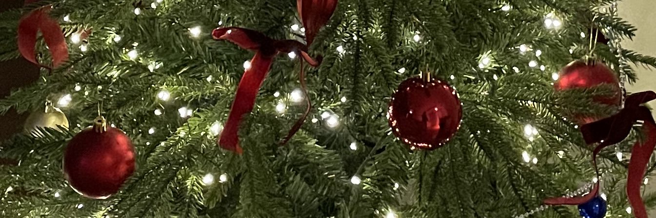 dangken's profile banner image