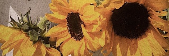 _savannahhj's profile banner image