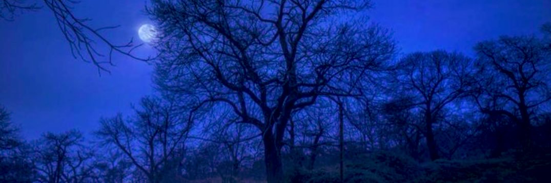 𝙏𝙊𝙓𝙄𝙉 banner