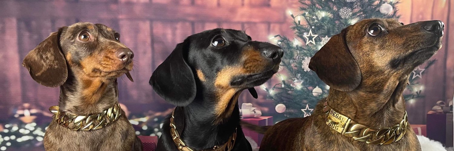 alisonkea's profile banner image