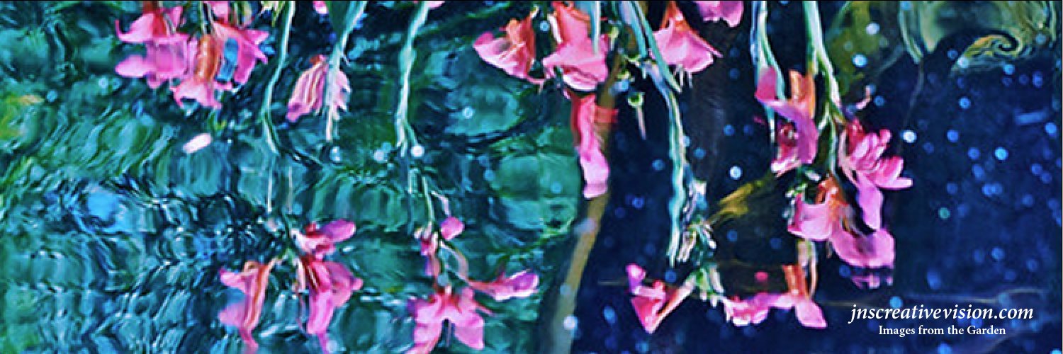 Janis N. Senungetuk banner