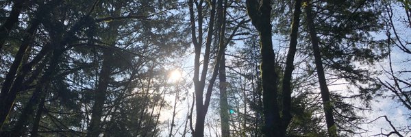 joshuasimon Profile Banner