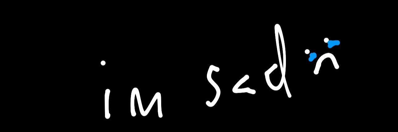 cat banner