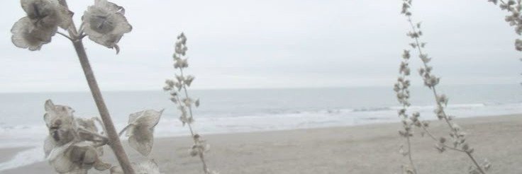 soulheyp's profile banner image