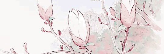 Alina banner