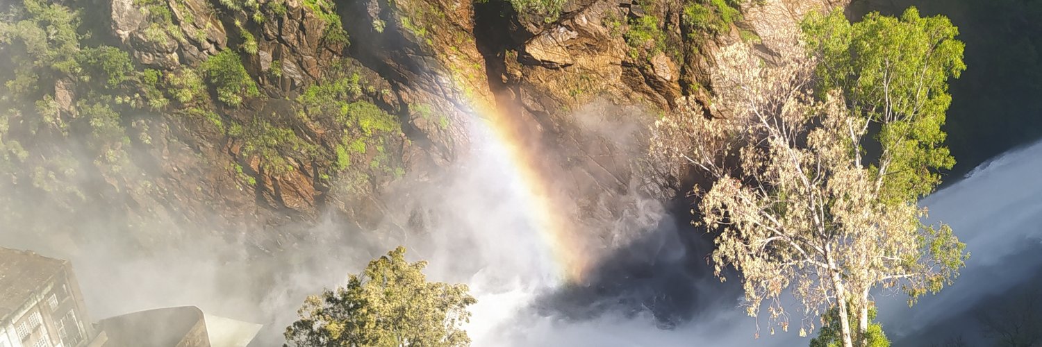 Alvaro G. Ghisolfo banner