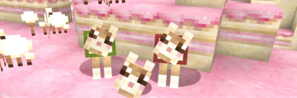َ banner