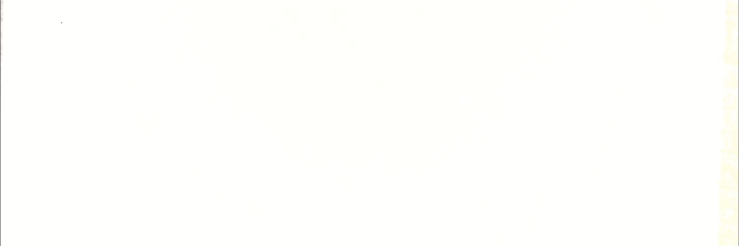 sái banner