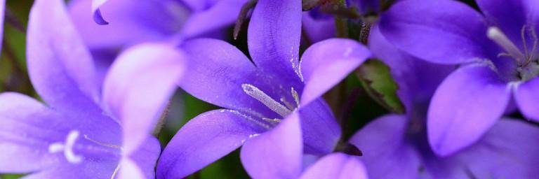 BarbaraJTuttle's profile banner image