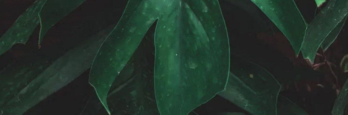 whenismikell's profile banner image