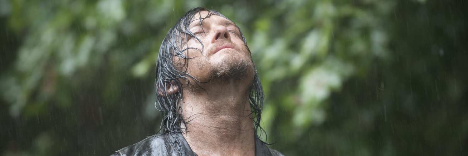 Daryl Dixon banner