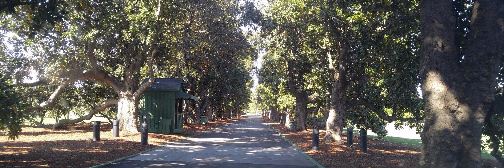 Pete Dougherty banner