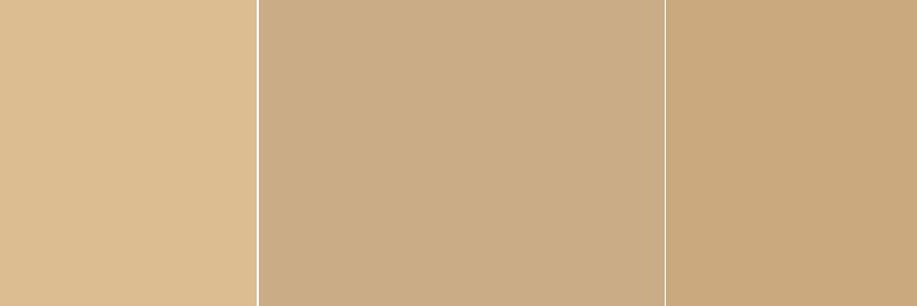 hedgehogkibble's profile banner image