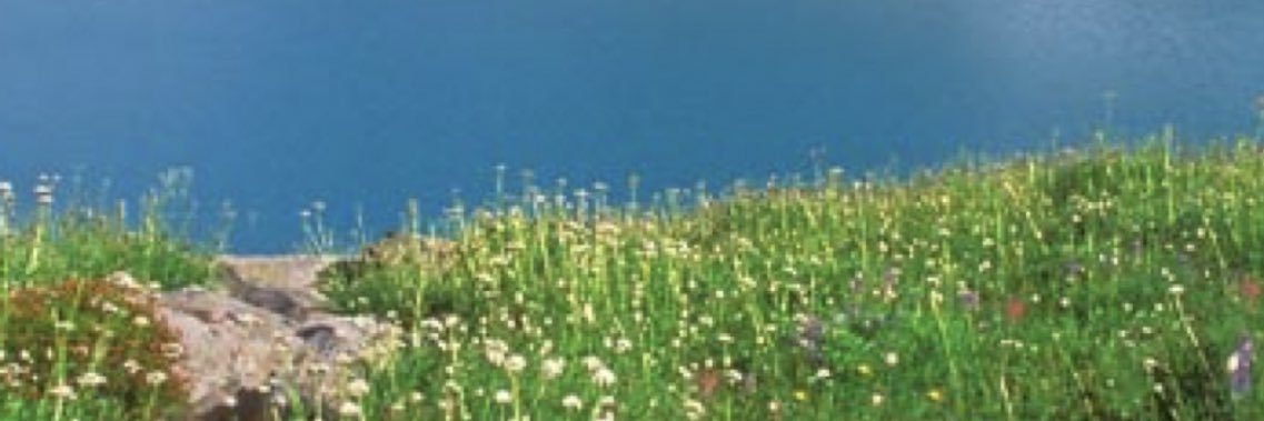 pmgreco's profile banner image