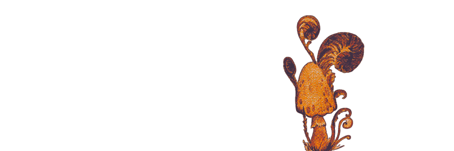 𝓉ᴬ𝚆𝑛𝕪 𝓁𝑒͜a𝔣𓈒 * ༉ banner