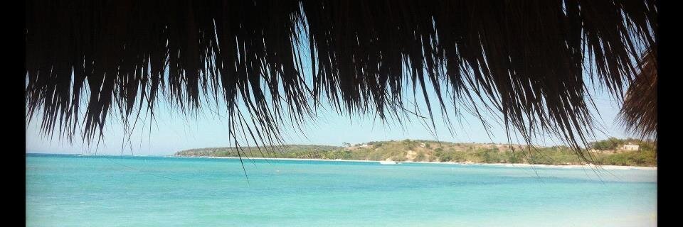 Janira Lebrón banner