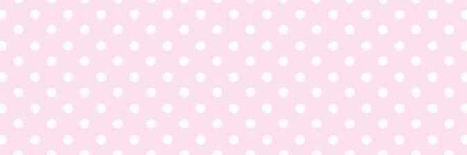 ୧ ‧₊˚ riley ‧₊˚ banner