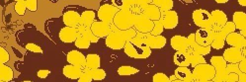superctfan's profile banner image
