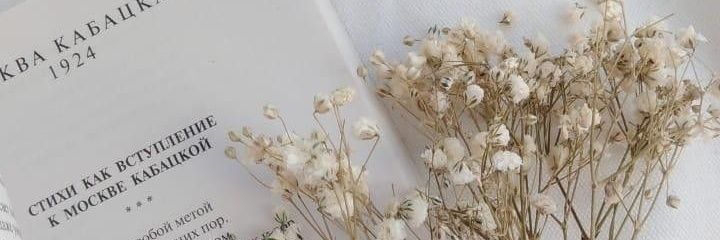 ˚ʚ🦢ɞ˚ banner