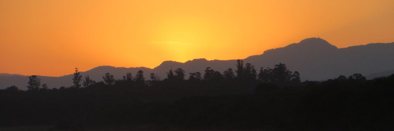 jas2165's profile banner image