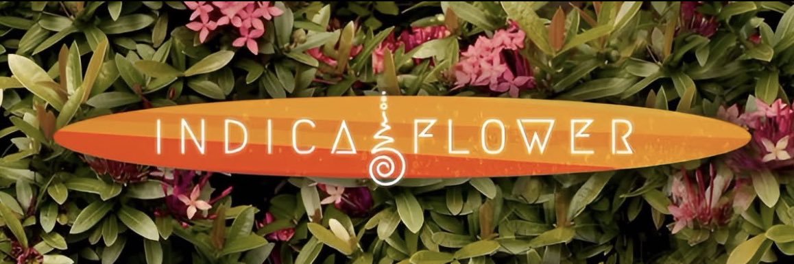 indica flower banner