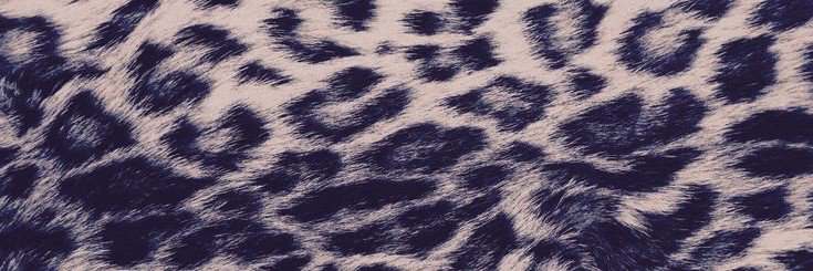 andysanche02's profile banner image