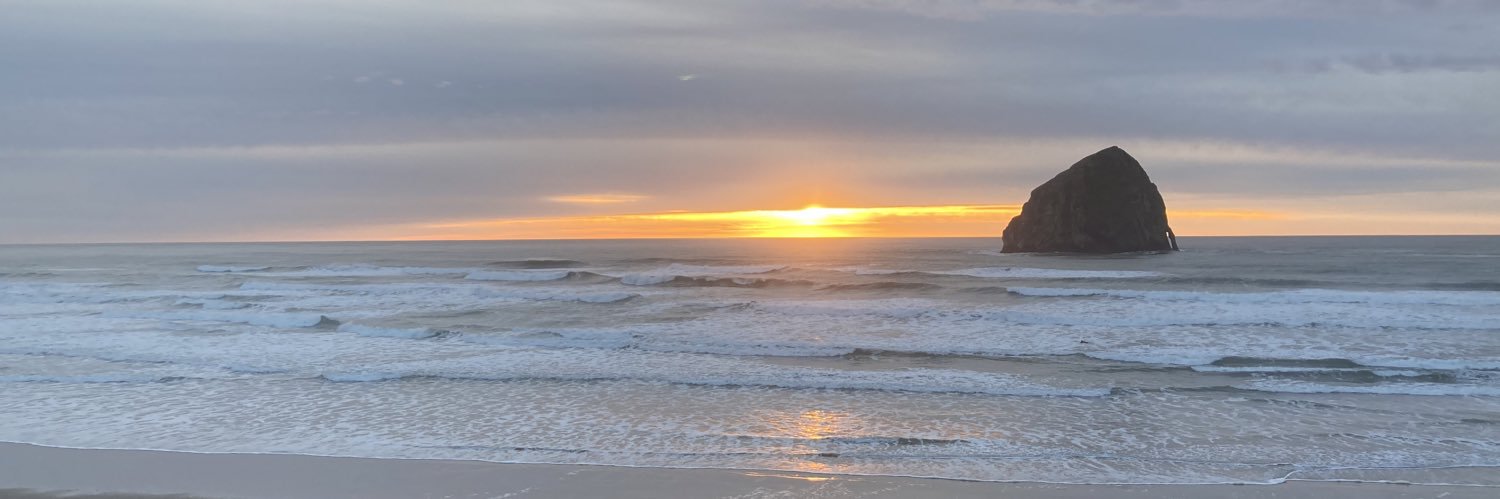 naturopathiconc's profile banner image