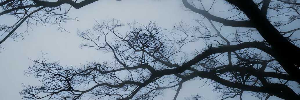 BhGao_'s profile banner image