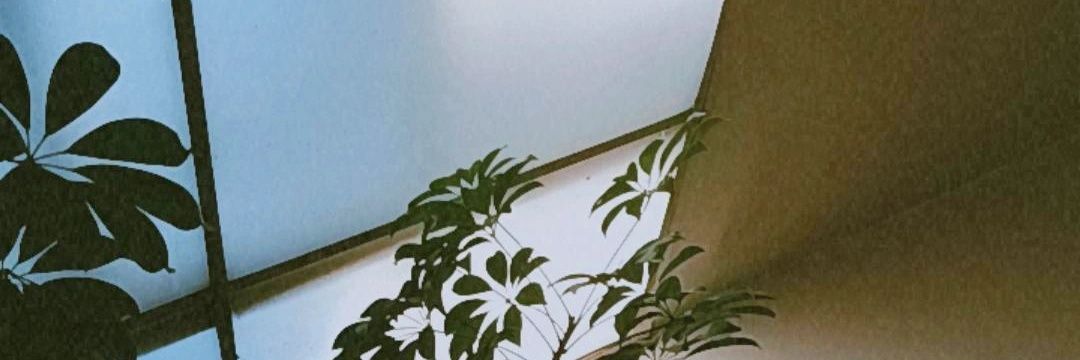 koniittha's profile banner image